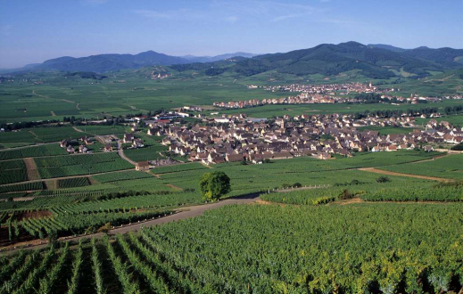 Elsass-Tour-3.jpg