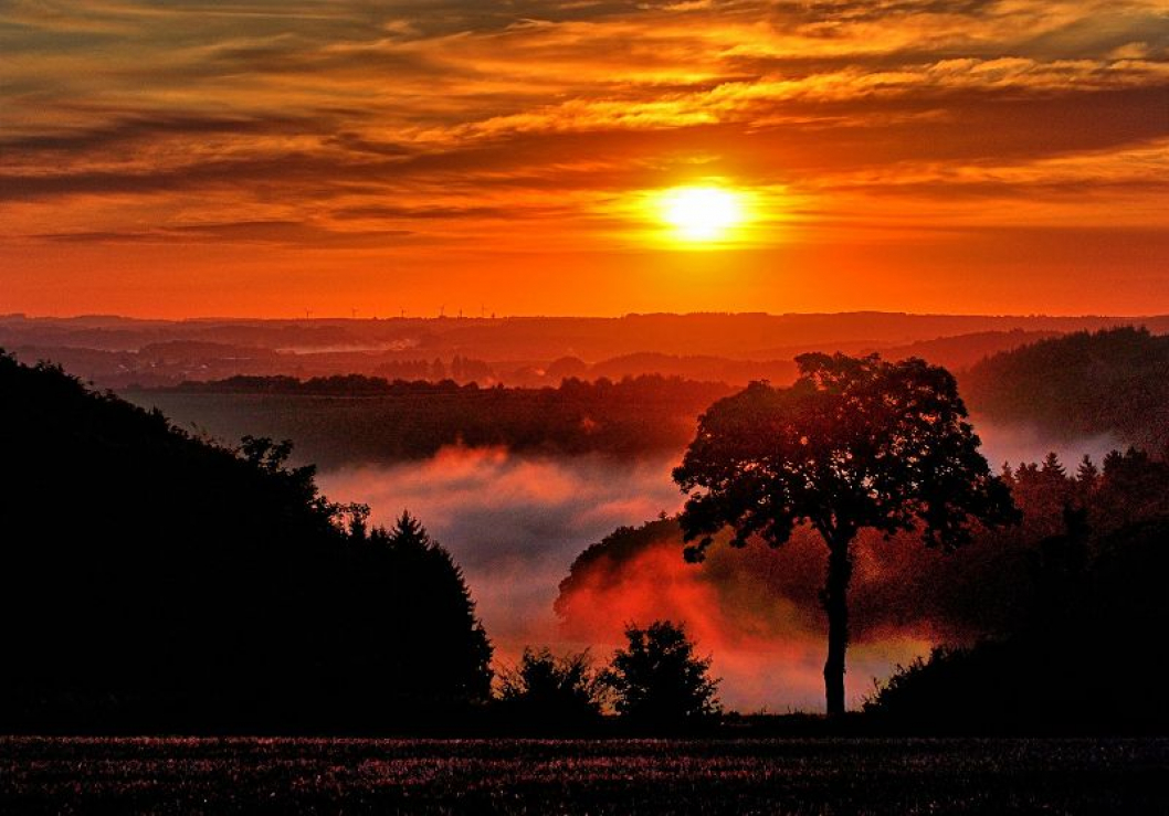 k-Sonnenaufgang-Vulkaneifel.jpg